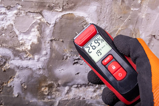 Best Best Mold Removal Companies  in Hellertown, PA