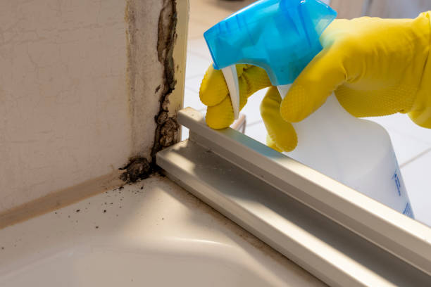 Best Affordable Mold Removal  in Hellertown, PA