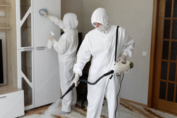 Best Certified Mold Removal  in Hellertown, PA