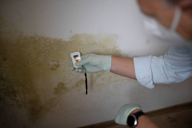 Best Emergency Mold Removal  in Hellertown, PA
