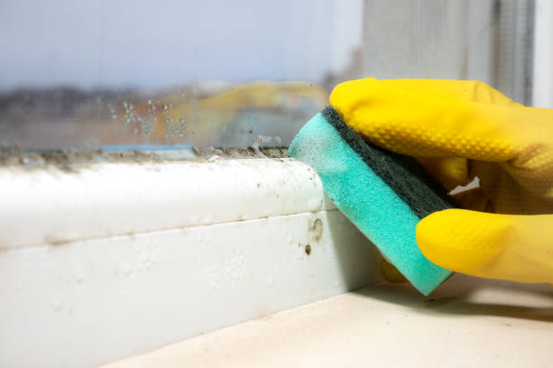 Best Mold Cleaning Services  in Hellertown, PA