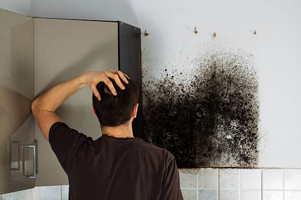 Hellertown, PA Mold Removal Company