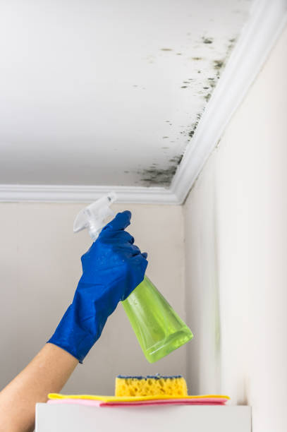 Crawl Space Mold Removal in Hellertown, PA